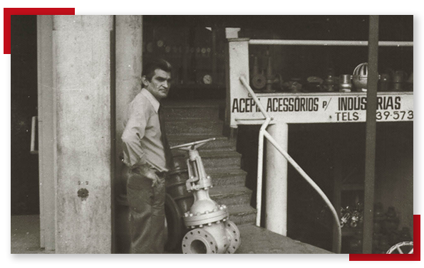 Acepil 1972